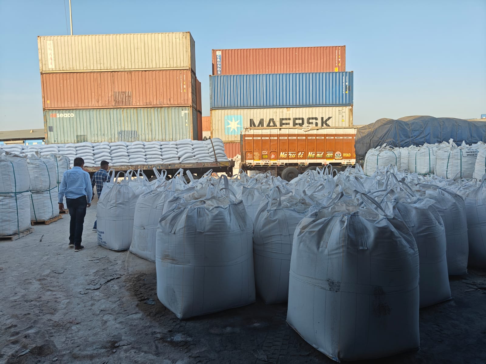 Export consignment packed and sealed in containers for global delivery