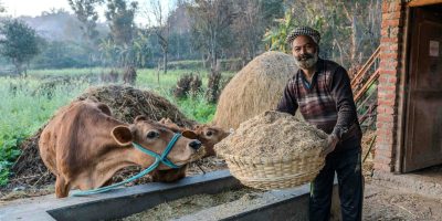 Minerals used in animal feed and agricultural applications for soil and nutrition enhancement