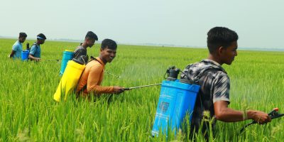 Minerals used in pesticide and agrochemical formulations for agricultural applications